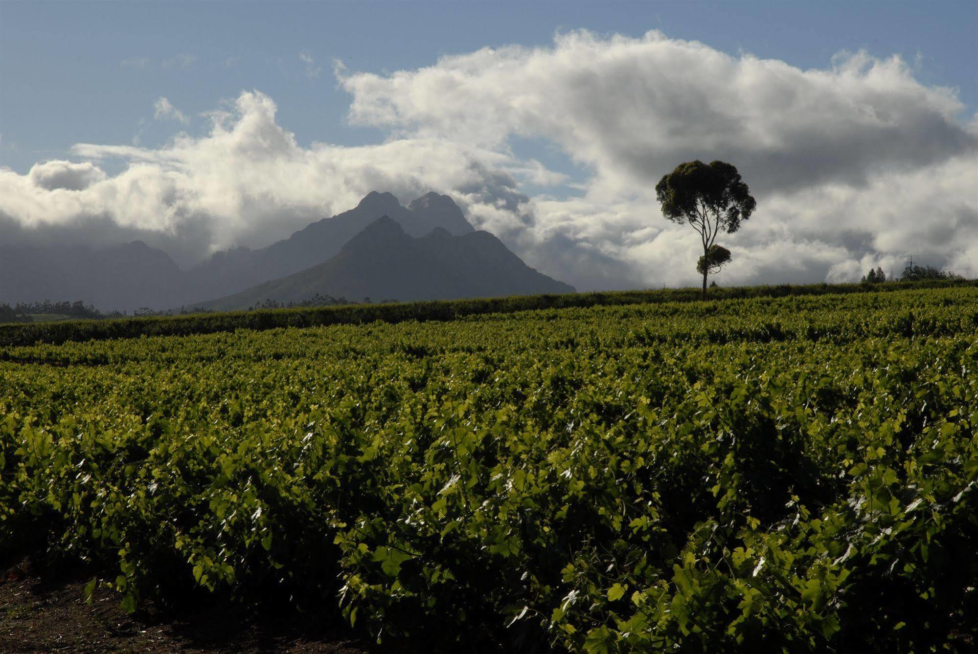 L'Avenir Country Lodge Stellenbosch Exteriör bild