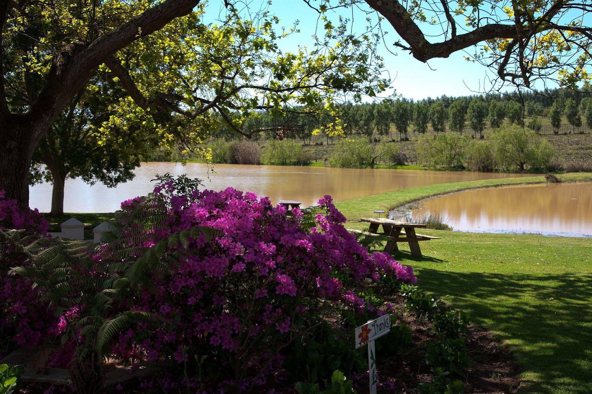 L'Avenir Country Lodge Stellenbosch Exteriör bild